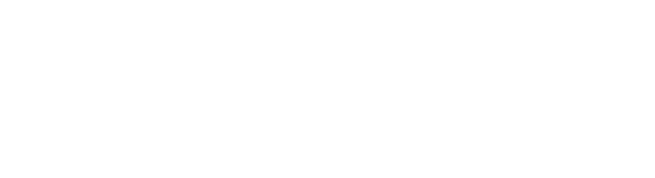 Indotaxes